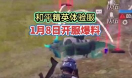 和平精英大熊爆料视频,揭秘游戏新内容与更新动态