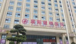 襄阳医院爆料人被抓视频,襄阳医院爆料人被捕事件引发关注